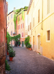 Naklejka na meble view of old town italian narrow street in Trastevere, Rome, Italy, retro toned