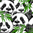 Seamless pattern with image of a Panda eating branch of bamboo. Vector illustration.