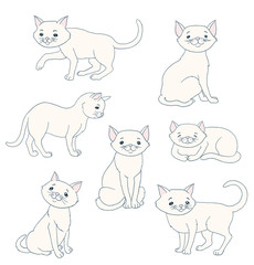  white cartoon cat in various poses vector illustration
