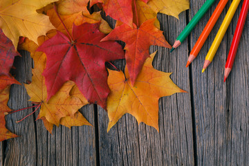 Wall Mural - Fall creative art concept, maple leaves on table