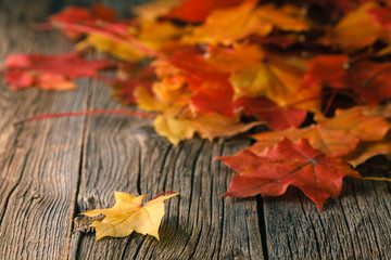 Wall Mural - fall background with maple leaves on wood table