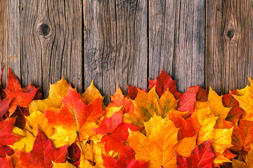 Wall Mural - fall creative art concept, maple leaves on table