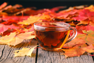 Wall Mural - fall creative art concept, maple leaves on table