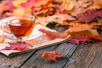 Wall Mural - fall creative art concept, maple leaves on table