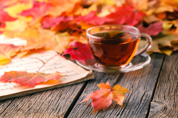 Wall Mural - creative background woth maple leaves