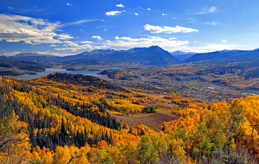 Wall Mural - golden aspens in the fall in summit county, colorado