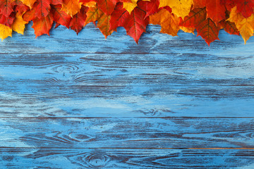 Wall Mural - natural maple leaves as frame on wooden background