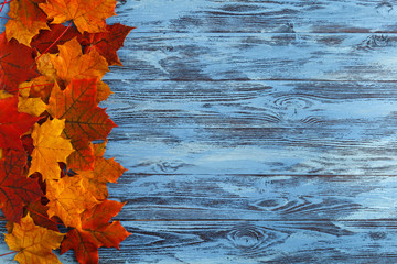 Wall Mural - natural maple leaves as frame on wooden background