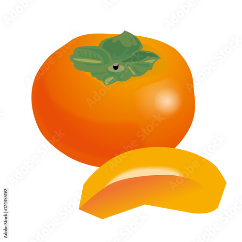 柿 カキのイラスト 果物のイラスト Persimmon Illustration Adobe Stock でこのストックベクターを購入して 類似のベクターをさらに検索 Adobe Stock