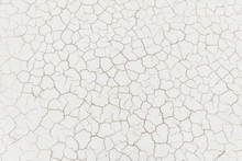 Minimal White Desert Texture