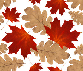 Canvas Print - autumn seamless pattern