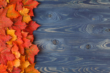 Wall Mural - autumn leaves over a wooden background