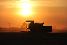 Old Combine Harvester Working On A Wheat Crop At Summer Evening