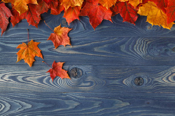 Wall Mural - fall background frame with maple leaves on blue