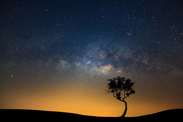 Wall Mural - landscape silhouette of tree with milky way galaxy and space dust in the universe, night starry sky 