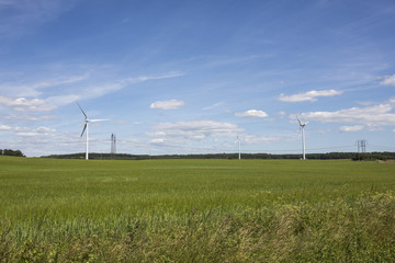 Skåne landscape