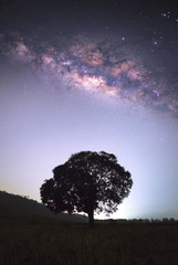 Wall Mural - Night scene with Milky Way and alone tree, Night landcscape with bright milky way, starry sky. Beautiful universe. Space background