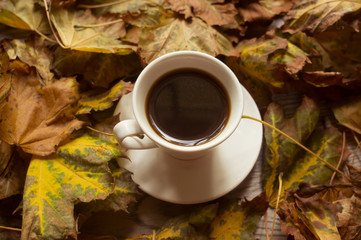 black coffee and autumn leaves background