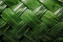 Close-up Of Woven Leaf