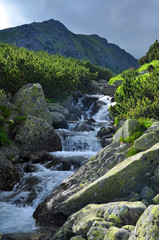 Nature mountains Tatras