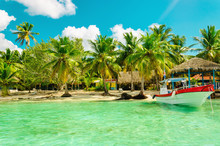 Amazing Exotic Palm Tree Beach With Colorful Boat, Dominican Republic