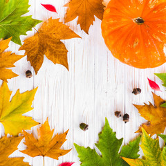 Fototapete - Autumn leaves on white background