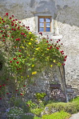 Sticker - schönes altes Südtirol-Haus mit Rosenstock