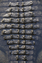 Close-up Of Alligator Skin