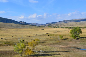 Casper Wy Landscape 4