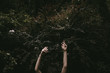 © Nicole Mason/Stocksy - arms reaching up in front of a dark green bush