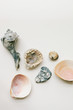 © Kelly Knox/Stocksy - random assortment of shells on white