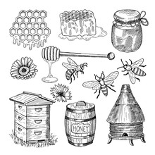 Honey, Bee, Honeycomb And Other Thematically Hand Drawn Pictures. Vector Vintage Illustration