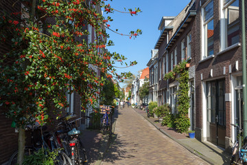  Typical Narrow Street in a Dutch city Delft