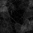 © Cattallina - black wall covered with spider web spooky background - halloween theme vector design
