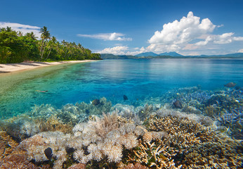 Wall Mural - Scenic tropical beach with beautiful underwater world on background of mountains