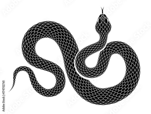 Fotografía Vector snake outline isolated on a white background.