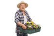 Mature gardener holding a crate filled with flowers