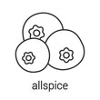 Allspice, pimento linear icon