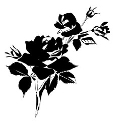 Poster - silhouette of rose