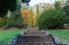 Steps Leading Up In The Yarra Valley In Victoria, Australia.