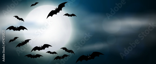 Plakat Noc, księżyc w pełni i nietoperze, poziomy baner. Kolorowa straszna Halloweenowa ilustracja. Wektor