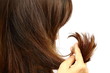 Woman holding her long hairs that make color treatments. The hairs maybe have problem (split end) .Should care or cut end of hairs. On white background