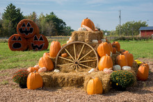 Fall Harvest Display With Pumpkins On The Farm.