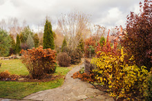 Late Autumn Private Garden View With Stone Pathway And Dried Hydrangea