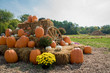 Fall harvest display with pumpkins and hay on the farm