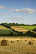 © Nicolas Dieppedalle - Paysage Campagne 242