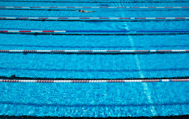 Wall Mural - swimmer in the Olympic swimming pool with clear blue water