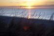 Dune grass in the evening sun near Kampen, Sylt Island, North Frisian Islands, Schleswig-Holstein, Germany, Europe