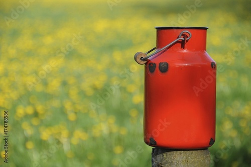 Fotomural Old red milk can or churn in front of a dandelion meadow