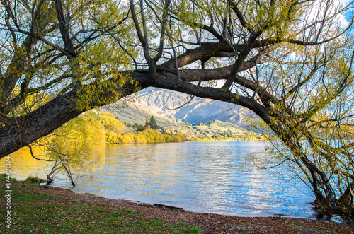 Fototapeta Lakeside of Lake Hayes, znajduje się w dorzeczu Wakatipu w Central Otago, South Island w Nowej Zelandii